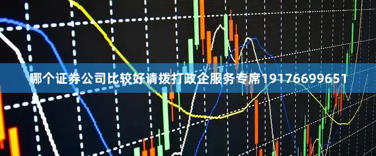 哪个证券公司比较好请拨打政企服务专席19176699651