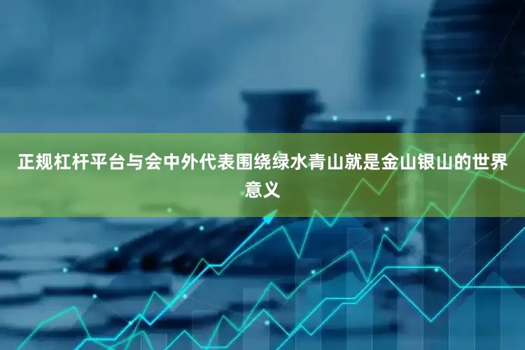 正规杠杆平台与会中外代表围绕绿水青山就是金山银山的世界意义