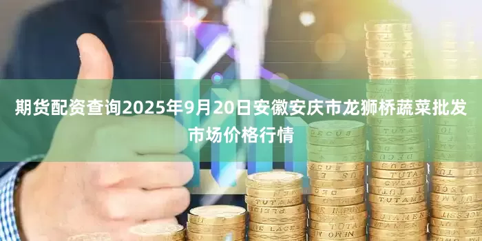 期货配资查询2025年9月20日安徽安庆市龙狮桥蔬菜批发市场价格行情